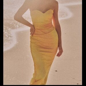 NWT ZARA Strapless Dress